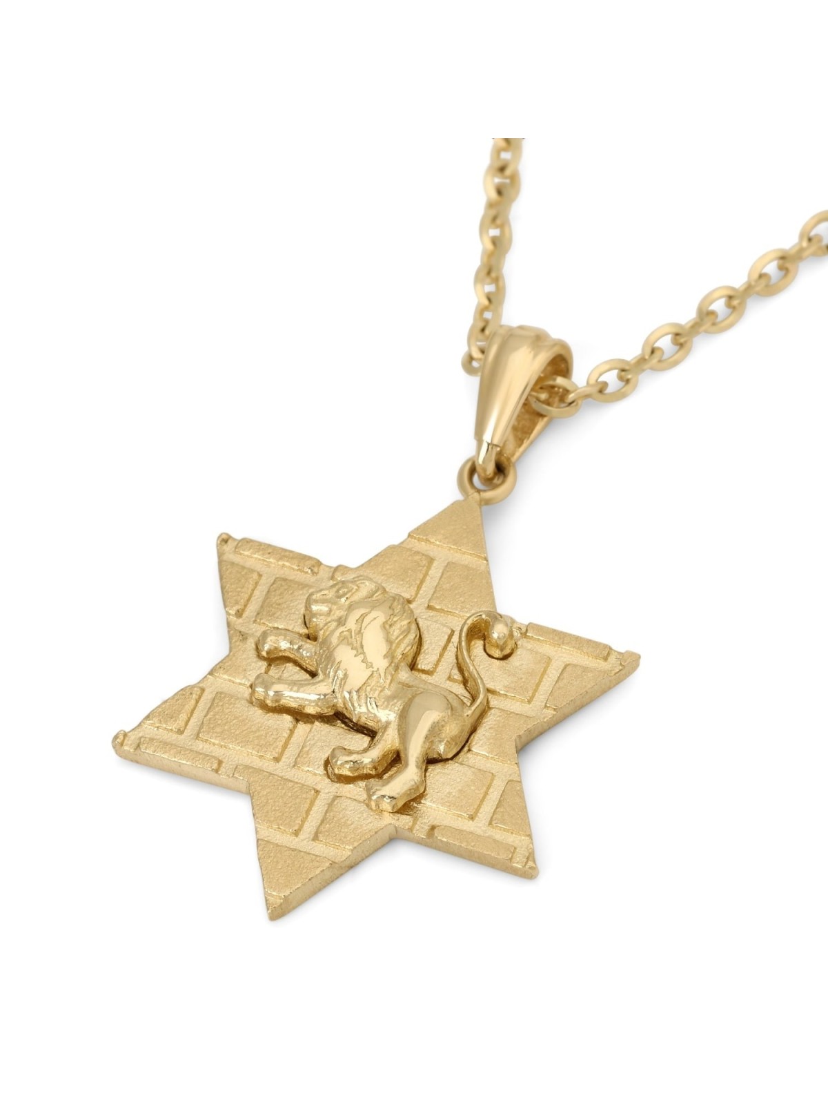14K Gold Star of David Unisex Pendant Necklace with Lion of Judah