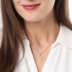 14K Gold Star of David Unisex Pendant Necklace with Lion of Judah