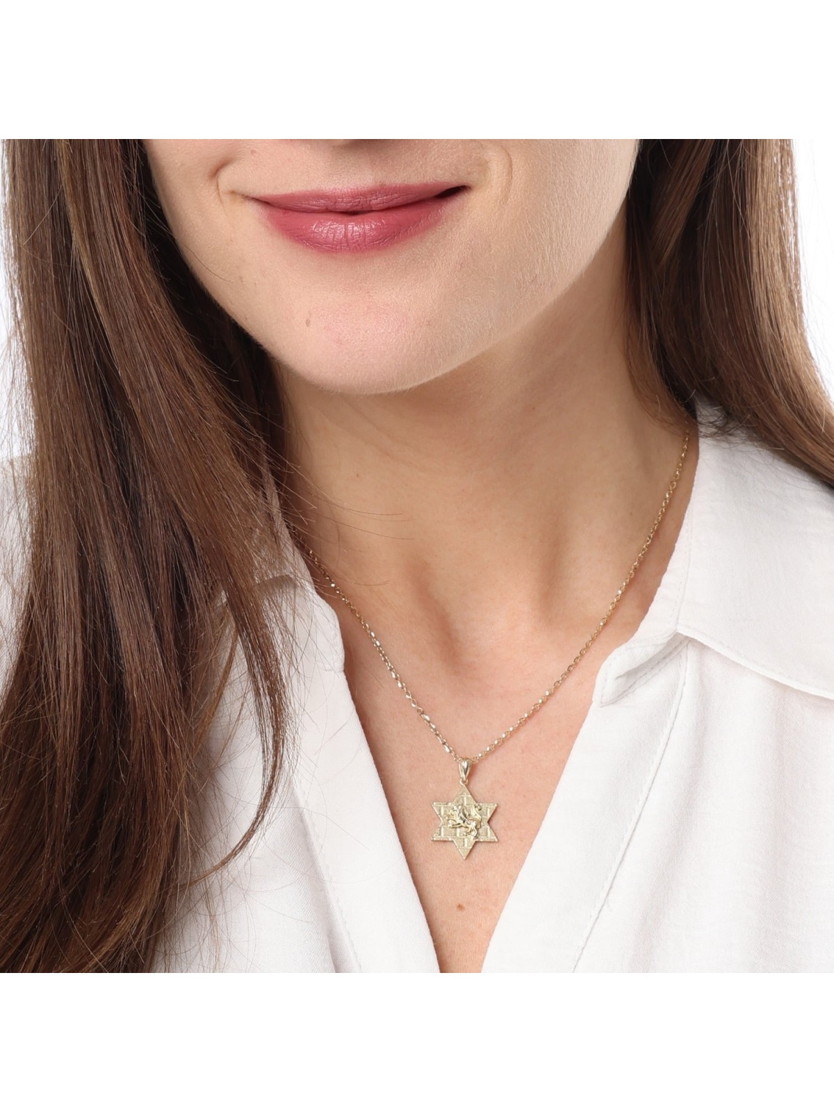 14K Gold Star of David Unisex Pendant Necklace with Lion of Judah