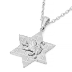 14K Gold Star of David Unisex Pendant Necklace with Lion of Judah