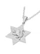 14K Gold Star of David Unisex Pendant Necklace with Lion of Judah