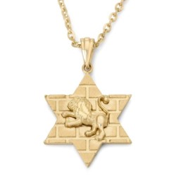 14K Gold Star of David Unisex Pendant Necklace with Lion of Judah