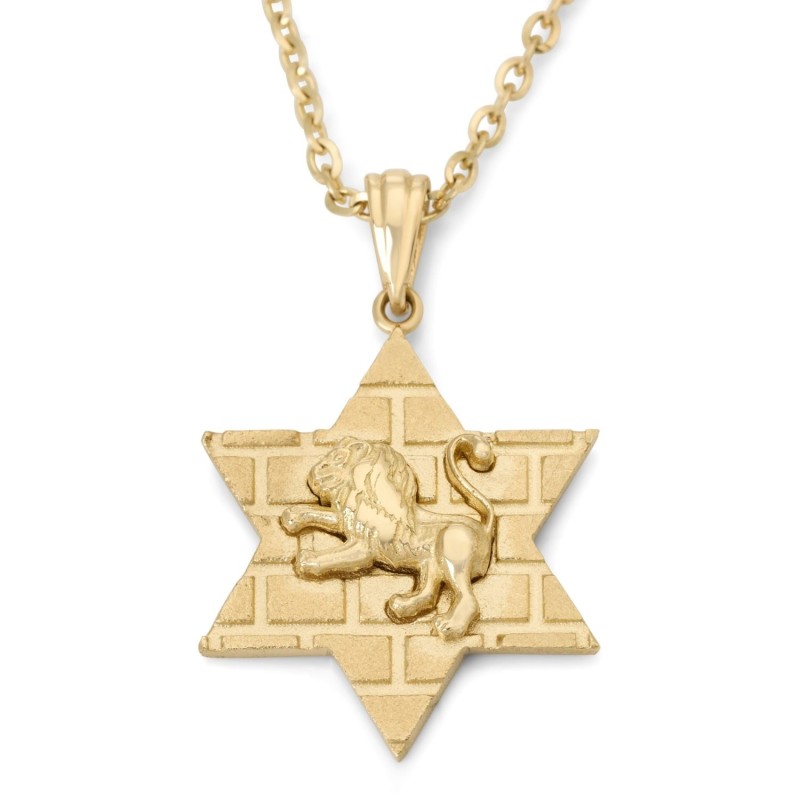 14K Gold Star of David Unisex Pendant Necklace with Lion of Judah