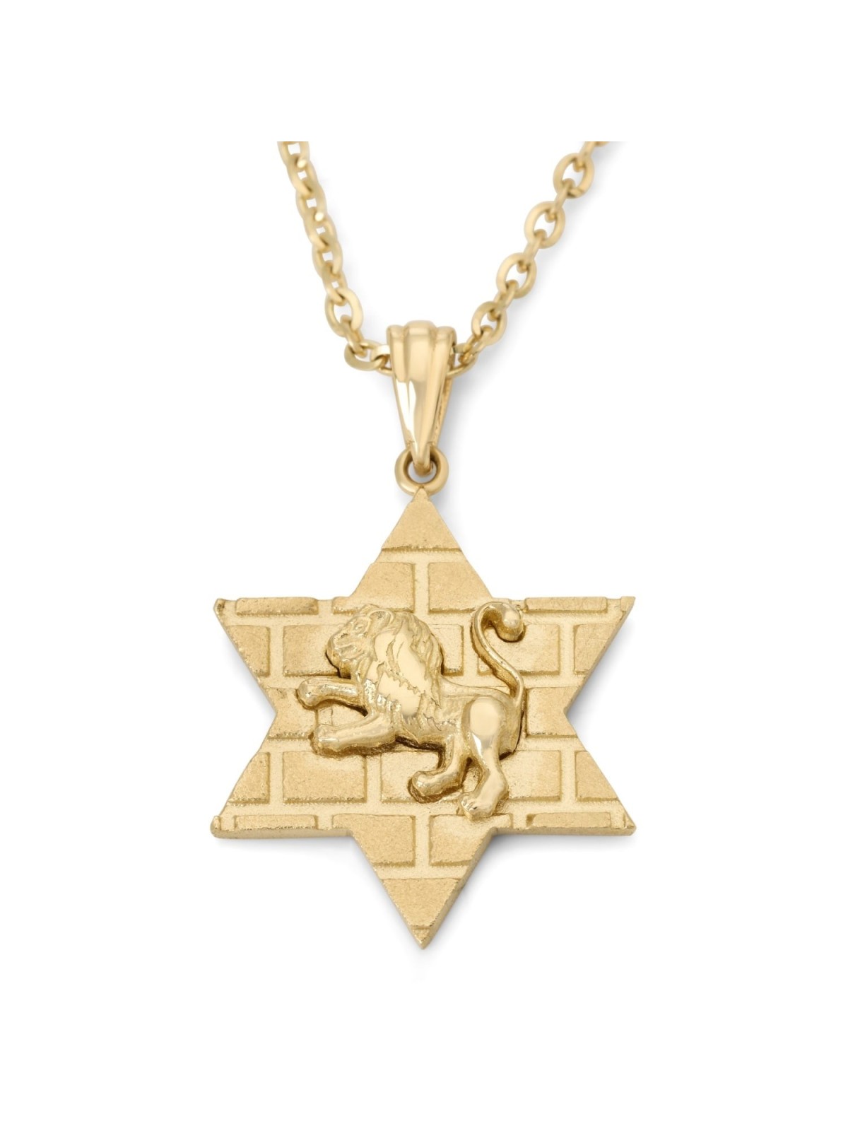 14K Gold Star of David Unisex Pendant Necklace with Lion of Judah