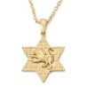 14K Gold Star of David Unisex Pendant Necklace with Lion of Judah