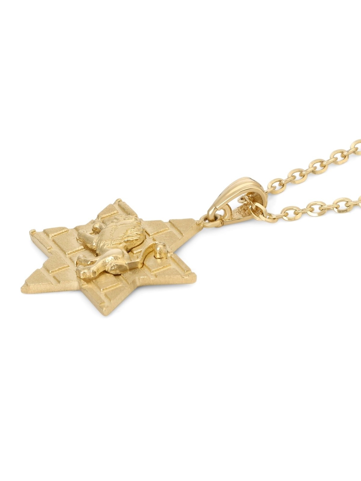 14K Gold Star of David Unisex Pendant Necklace with Lion of Judah