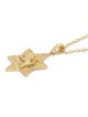 14K Gold Star of David Unisex Pendant Necklace with Lion of Judah