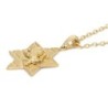 14K Gold Star of David Unisex Pendant Necklace with Lion of Judah