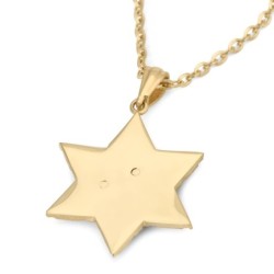 14K Gold Star of David Unisex Pendant Necklace with Lion of Judah