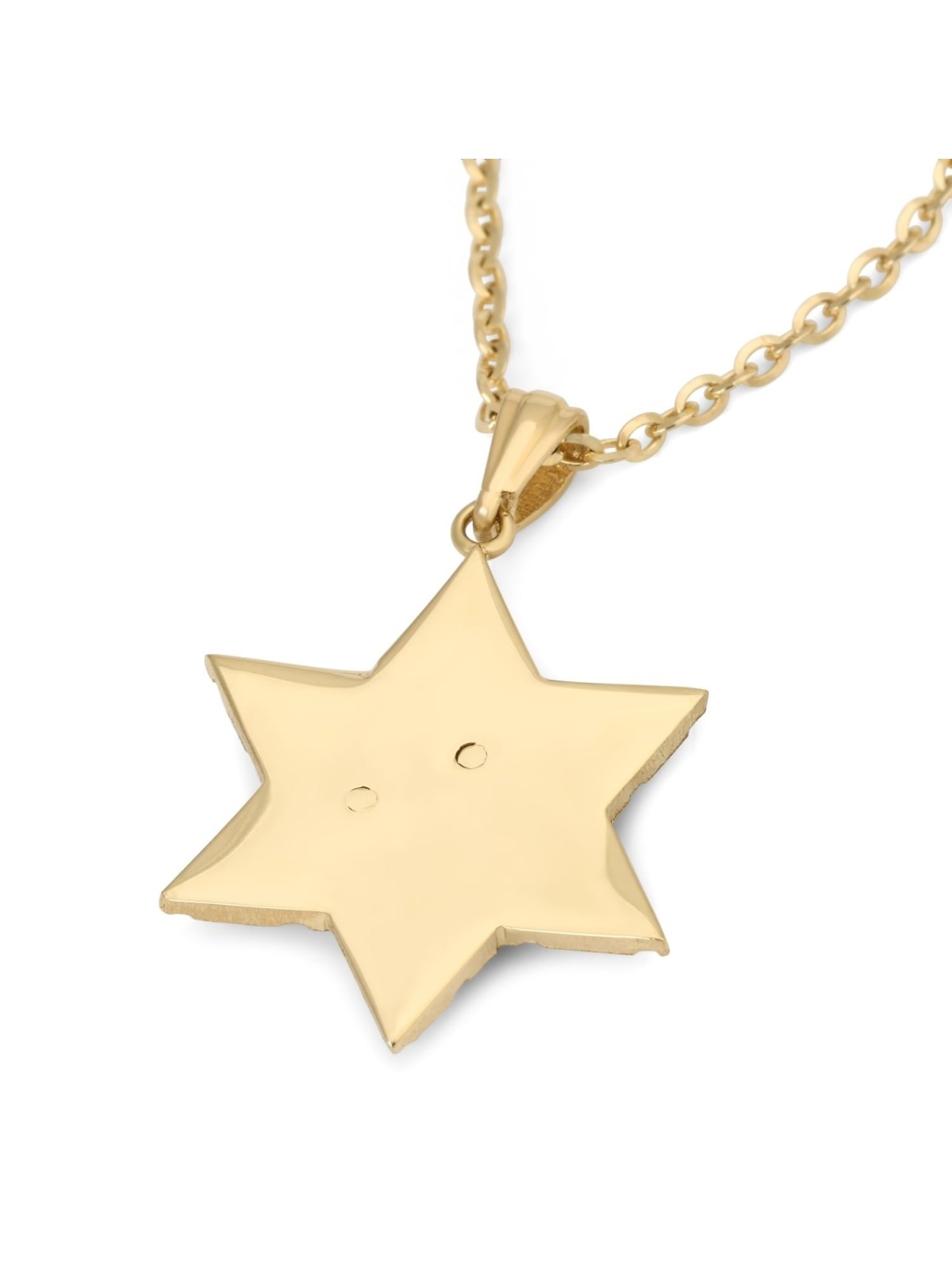 14K Gold Star of David Unisex Pendant Necklace with Lion of Judah
