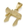 14K Gold Chai Pendant with Etched Finish