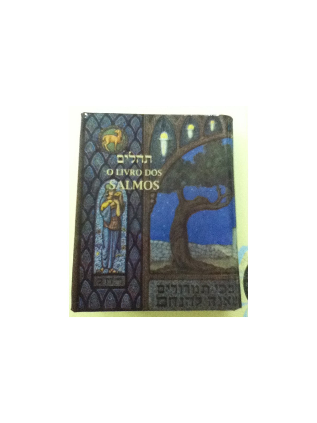 Pocket Size Book of Psalms with Portugese Translation | Prayerbooks