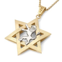 14K Gold Men's Star of David and Lion of Judah Pendant - Yellow or Whi
