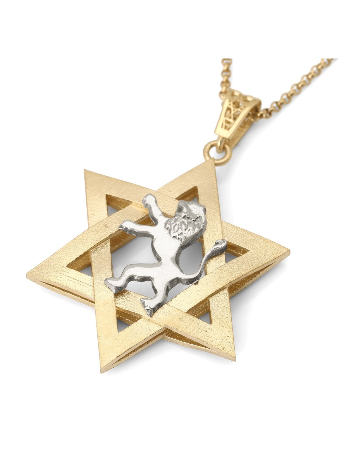 14K Gold Men's Star of David and Lion of Judah Pendant - Yellow or Whi