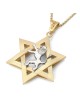 14K Gold Men's Star of David and Lion of Judah Pendant - Yellow or Whi