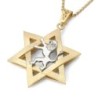 14K Gold Men's Star of David and Lion of Judah Pendant - Yellow or Whi