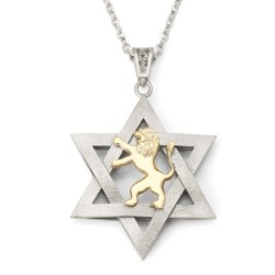 14K Gold Men's Star of David and Lion of Judah Pendant - Yellow or Whi