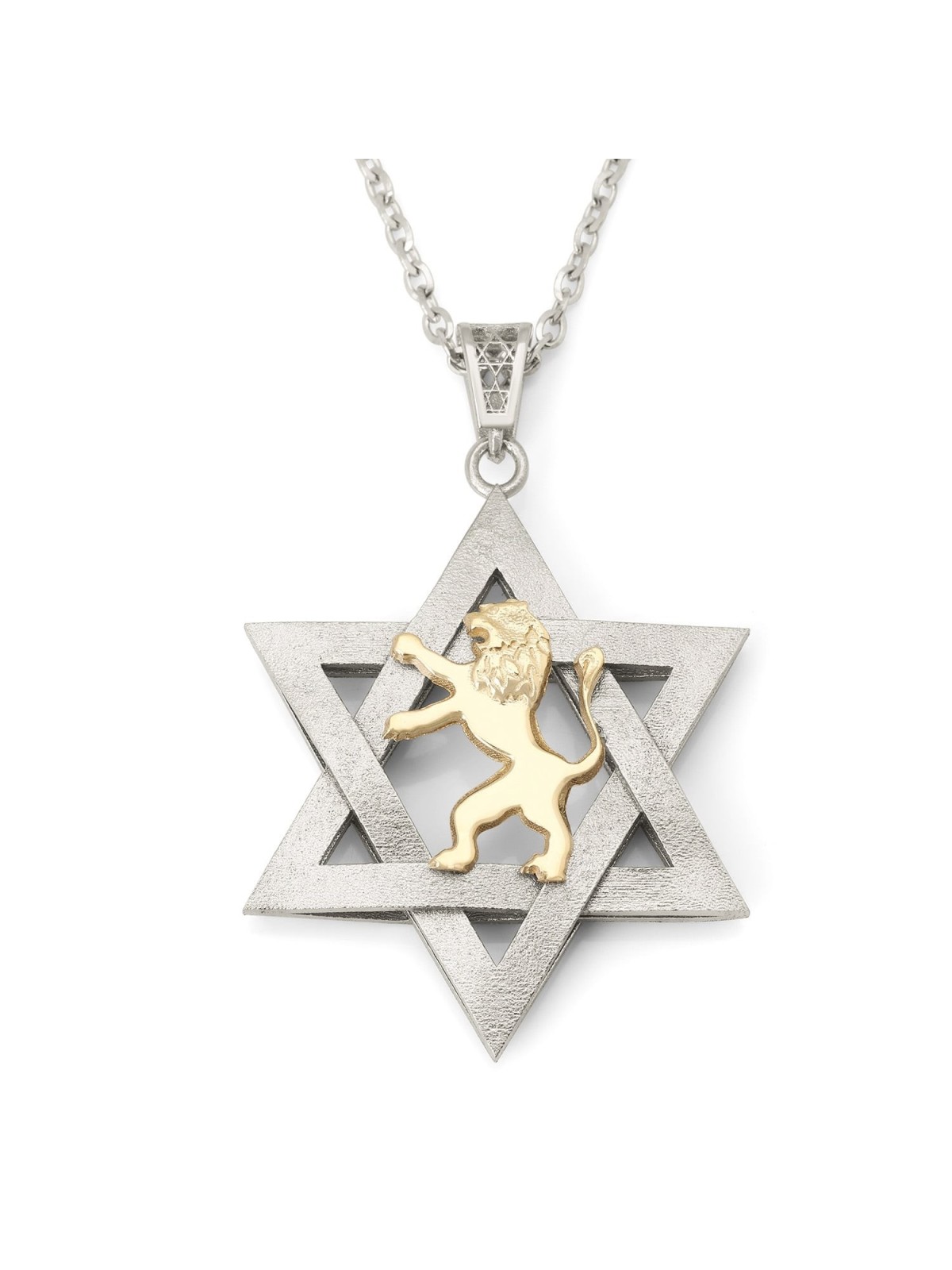 14K Gold Men's Star of David and Lion of Judah Pendant - Yellow or Whi