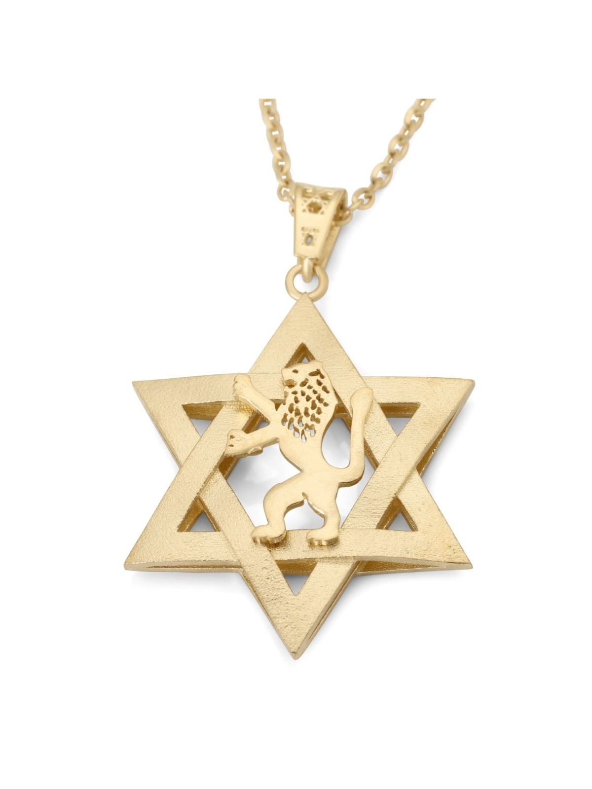 14K Gold Men's Star of David and Lion of Judah Pendant - Yellow or Whi