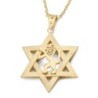 14K Gold Men's Star of David and Lion of Judah Pendant - Yellow or Whi