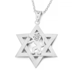 14K Gold Men's Star of David and Lion of Judah Pendant - Yellow or Whi
