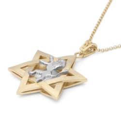 14K Gold Men's Star of David and Lion of Judah Pendant - Yellow or Whi