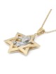 14K Gold Men's Star of David and Lion of Judah Pendant - Yellow or Whi