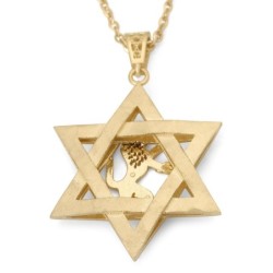 14K Gold Men's Star of David and Lion of Judah Pendant - Yellow or Whi