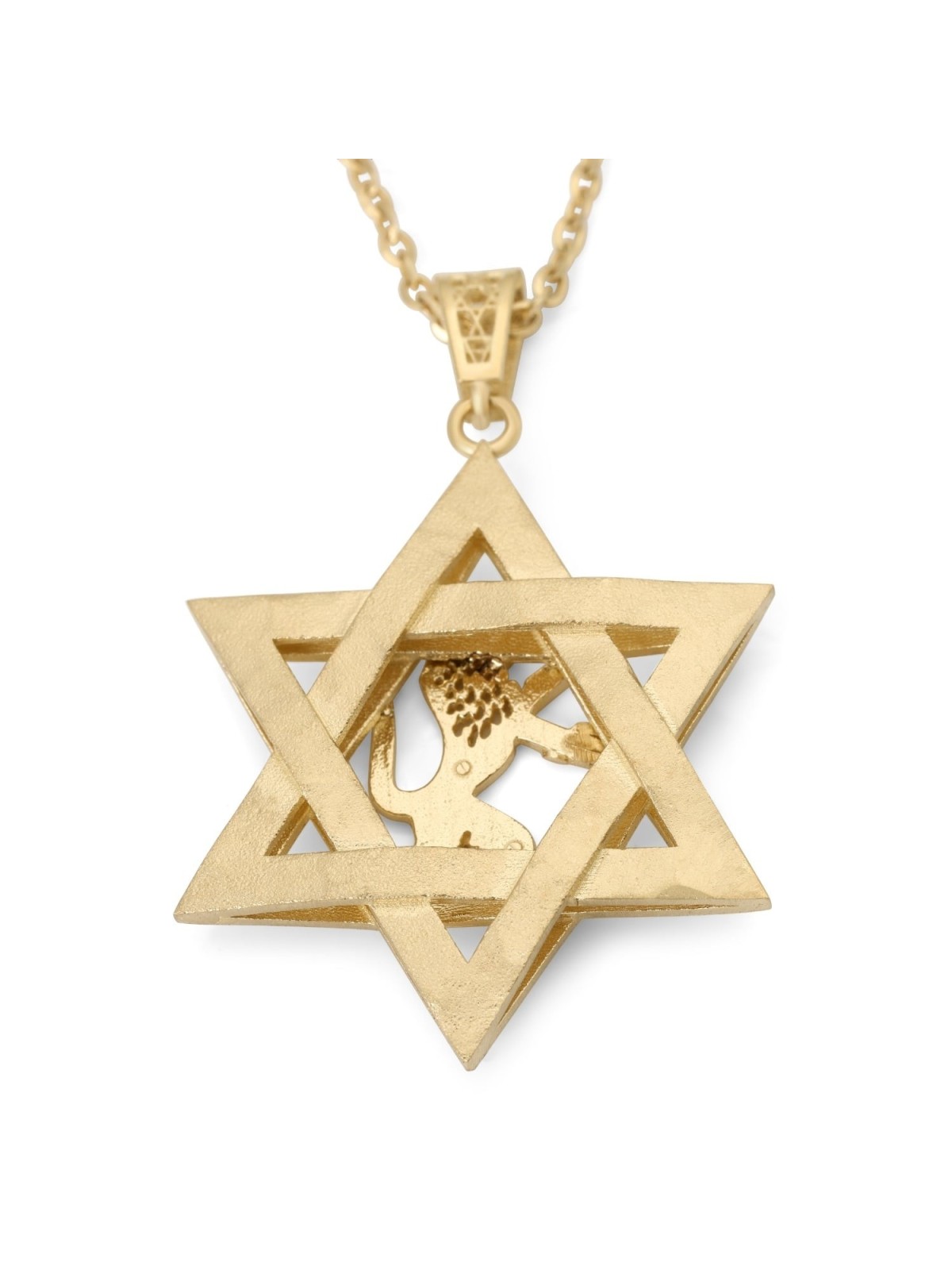 14K Gold Men's Star of David and Lion of Judah Pendant - Yellow or Whi