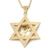 14K Gold Men's Star of David and Lion of Judah Pendant - Yellow or Whi