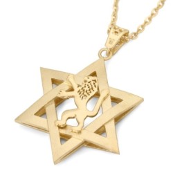 14K Gold Men's Star of David and Lion of Judah Pendant - Yellow or Whi