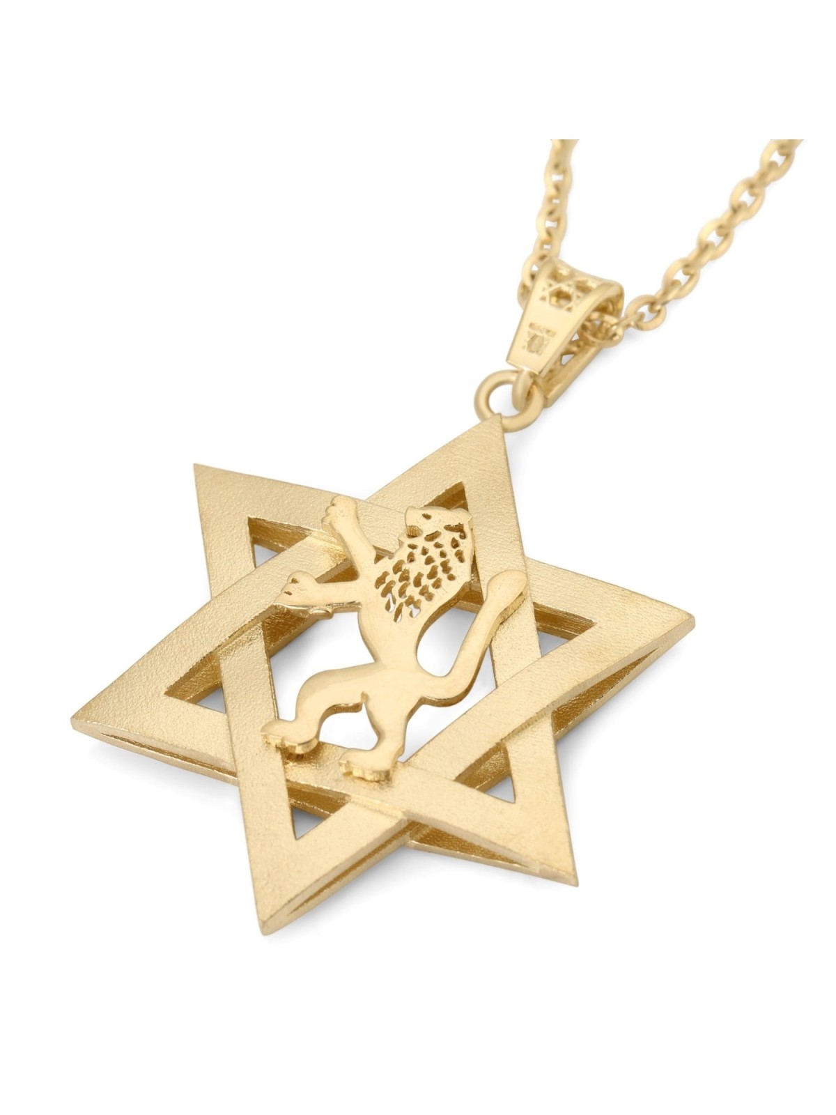 14K Gold Men's Star of David and Lion of Judah Pendant - Yellow or Whi