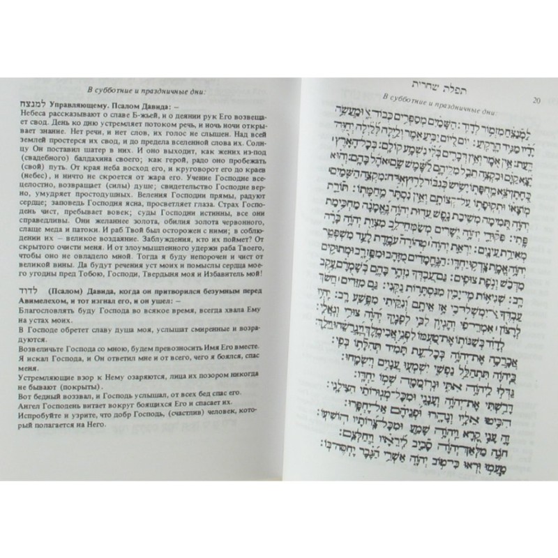 Hard Backed Siddur Prayer Book Hebrew with Russian Tr... | Prayerbooks