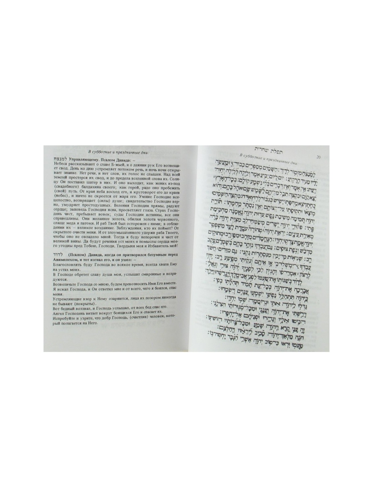 Hard Backed Siddur Prayer Book Hebrew with Russian Tr... | Prayerbooks