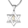 No Other Land: Silver and Gold Star of David Pendant Necklace for Men