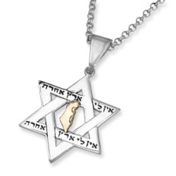 No Other Land: Silver and Gold Star of David Pendant Necklace for Men