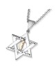 No Other Land: Silver and Gold Star of David Pendant Necklace for Men