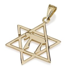 14K Gold Classic Thin Cut Star of David with Chai Pendant Necklace