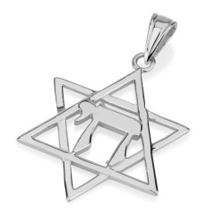 14K Gold Classic Thin Cut Star of David with Chai Pendant Necklace