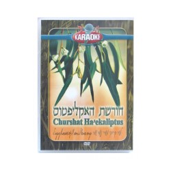 Churshat Haeklipatus Karaoke PAL and NTSC ... | Israeli & Jewish Songs