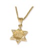 Deluxe 14K Gold and Diamonds Star of David Pendant Necklace with Old J