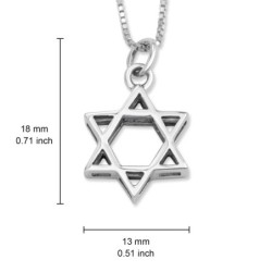 Sterling Silver Double Layer Star of David Pendant Necklace