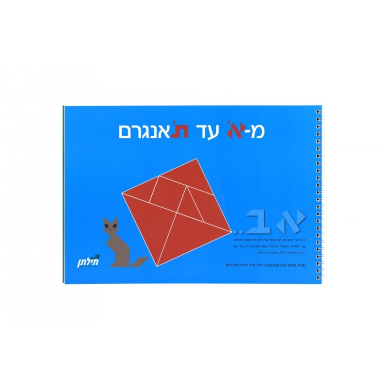 Aleph to Tavngram Hebrew Educational Game | Jewish Books