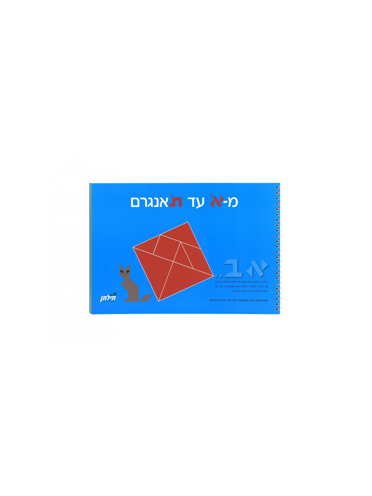 Aleph to Tavngram Hebrew Educational Game | Jewish Books