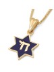 14K Gold and Blue Enamel Chai and Star of David Pendant Necklace