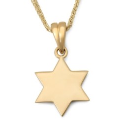 14K Gold and Blue Enamel Chai and Star of David Pendant Necklace