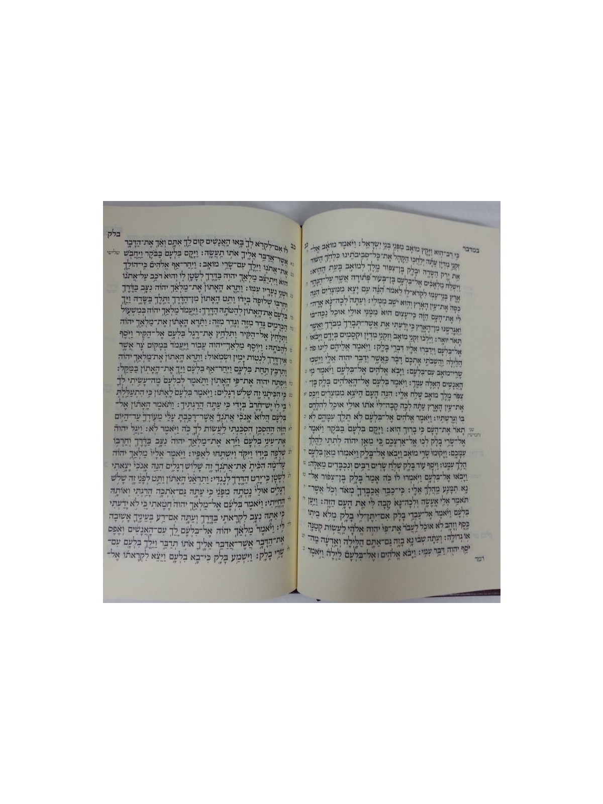 Chumash and Siddur with Shabbat Prayers Koren Publication ... | Bibles