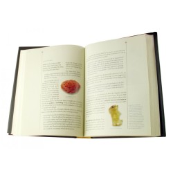 The Comprehensive Shemita book in English | Jewish Books