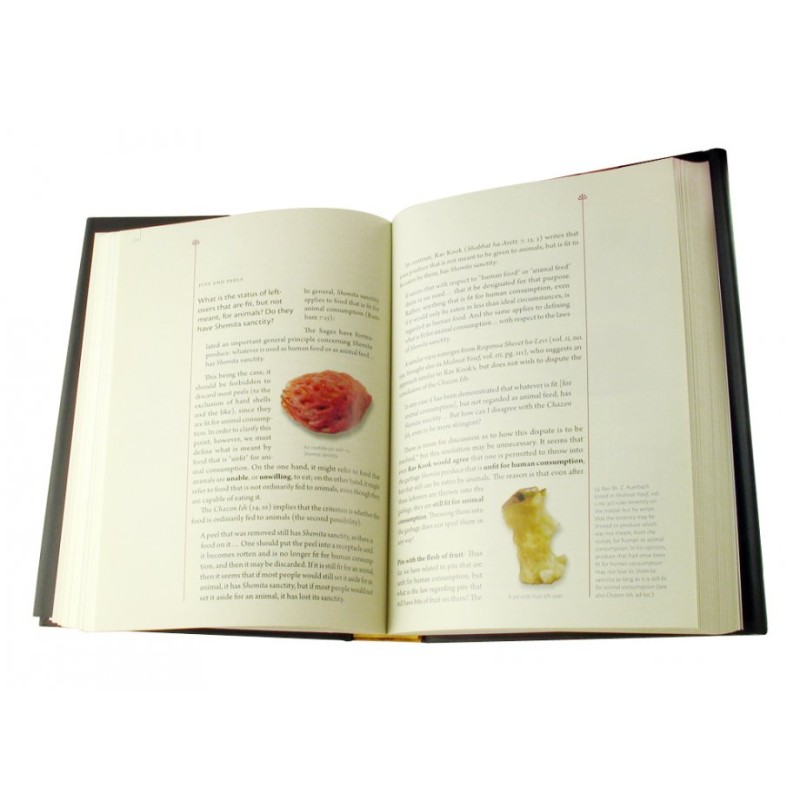 The Comprehensive Shemita book in English | Jewish Books