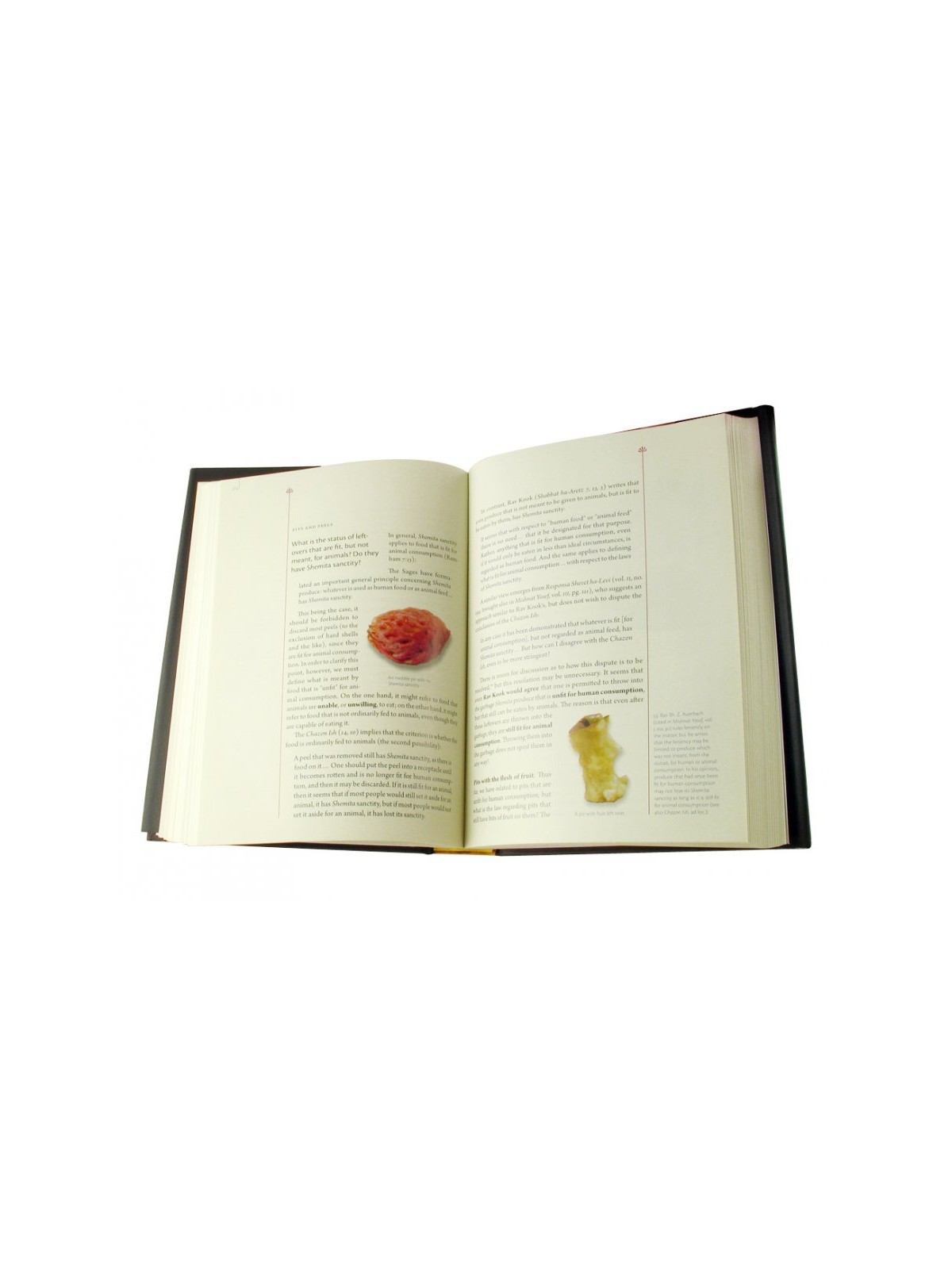 The Comprehensive Shemita book in English | Jewish Books